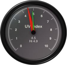 Custom Gauge customgauge5.png